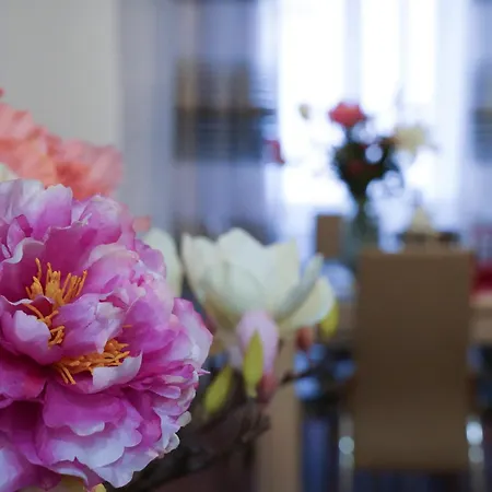 Navona Jacuzzi Apartment Rome